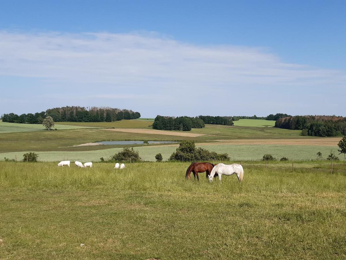 Ubytovani U Krivanku 1 Telč Extérieur photo