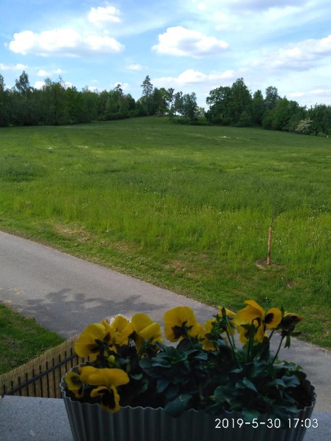 Ubytovani U Krivanku 1 Telč Extérieur photo