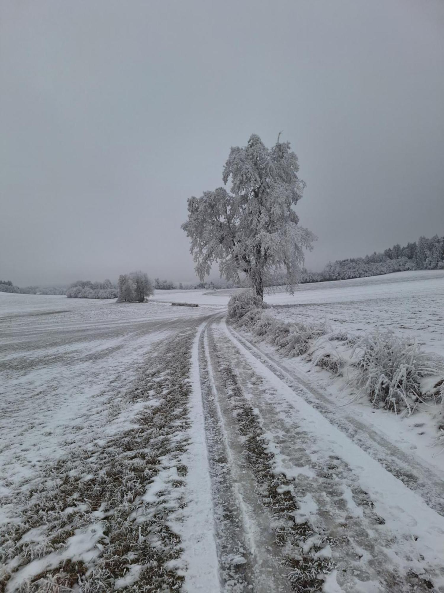 Ubytovani U Krivanku 1 Telč Extérieur photo